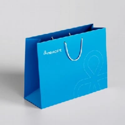 Paper Gift Bags With Handles factory